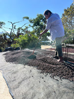 Cargar imagen en el visor de la galería, Los Cimientos - Bourbon - Natural - Guerrero
