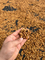 Cargar imagen en el visor de la galería, Finca Mendoza - Guerrero - Honey
