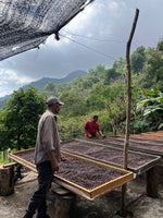 Cargar imagen en el visor de la galería, Finca La Cañada - Guerrero - Natural

