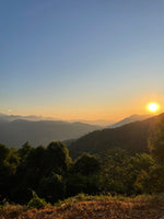 Cargar imagen en el visor de la galería, Manto Niebla - Typica  - Oaxaca - Lavado
