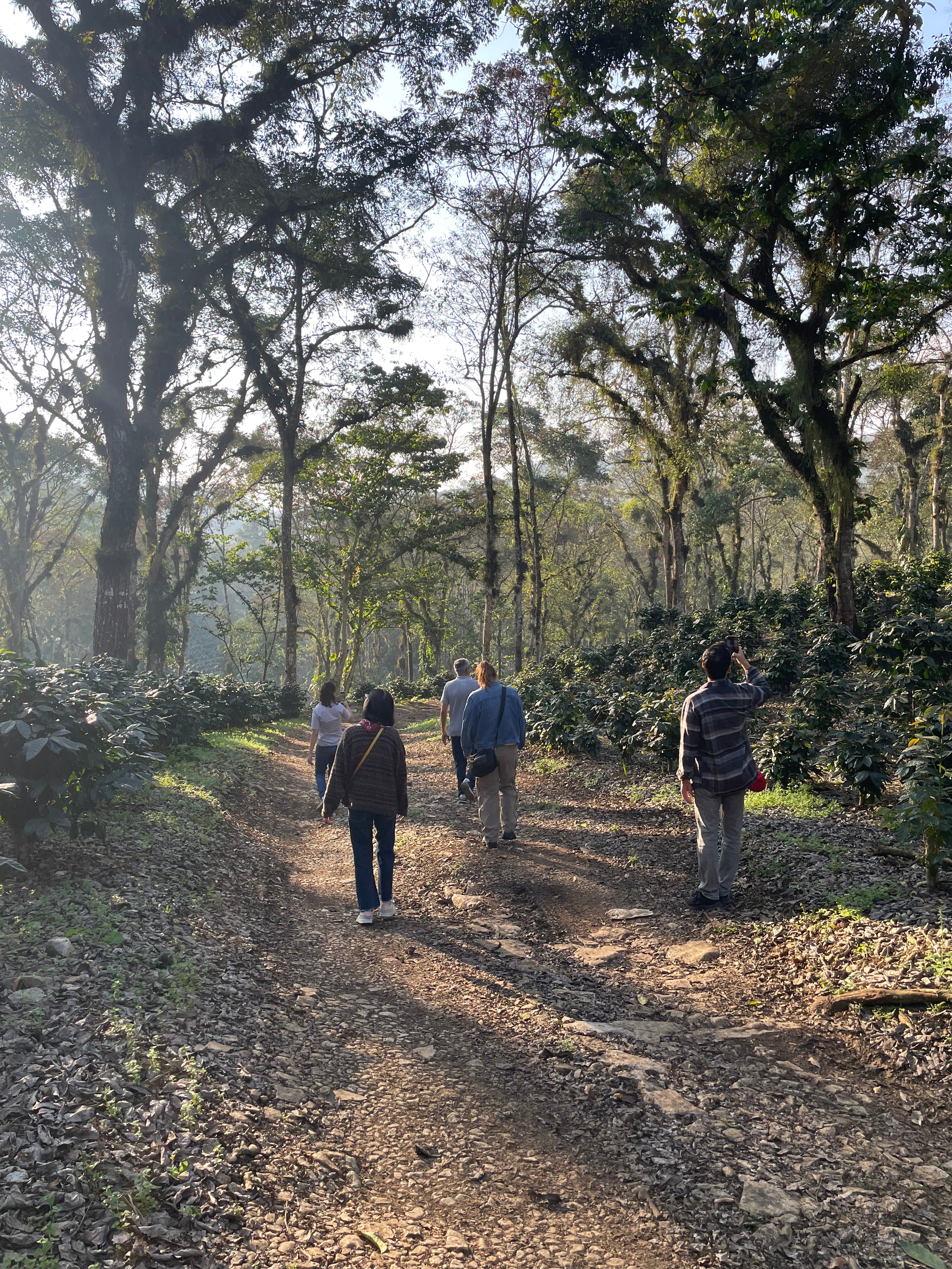 Rancho Zapotecas - Veracruz - Lavado
