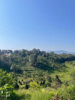 Cargar imagen en el visor de la galería, El Recuerdo - Puebla - Marsellesa - Natural
