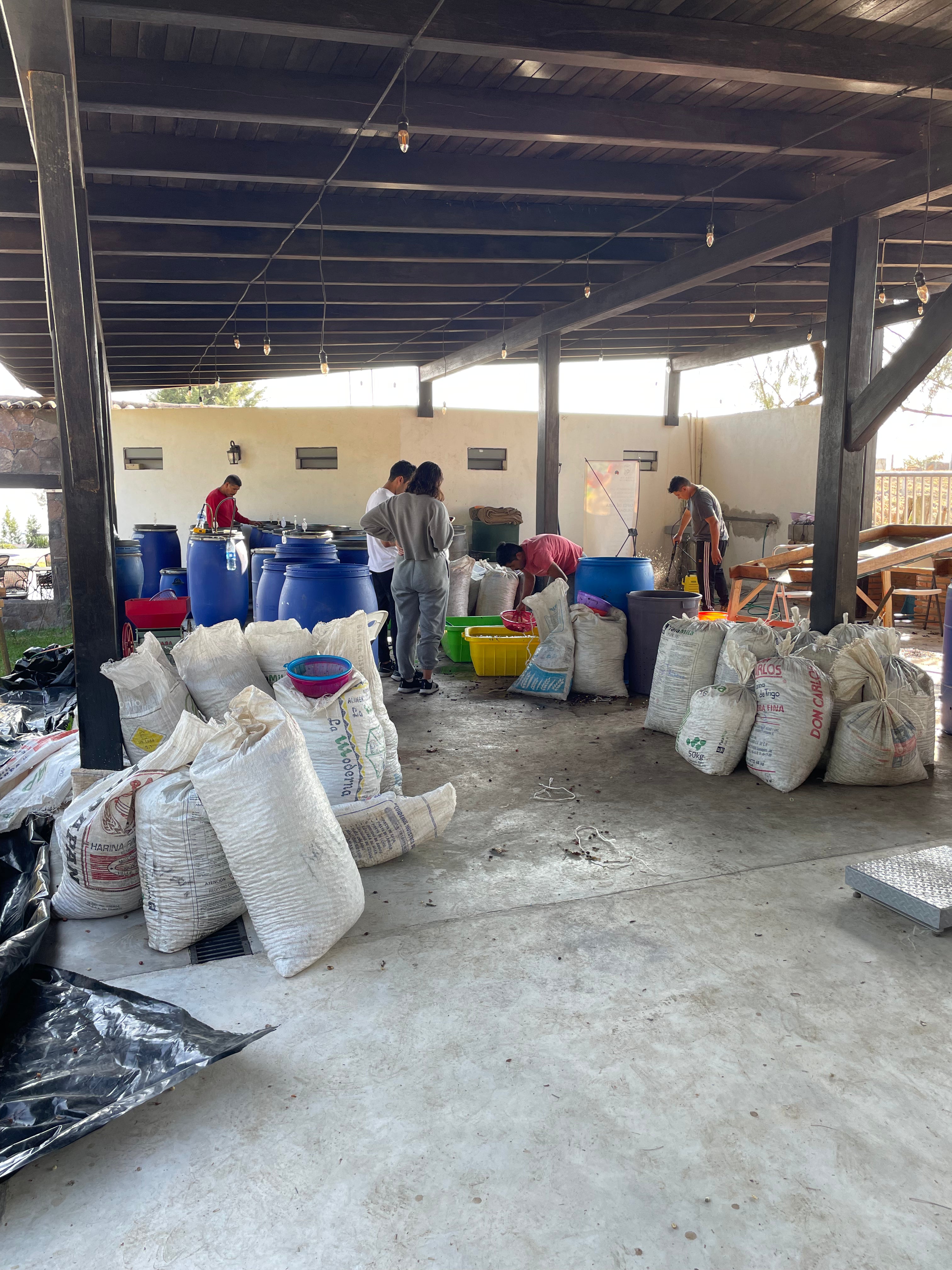 Andrés Peña - El Cuarenteño, Nayarit - Honey Maceración Carbónica