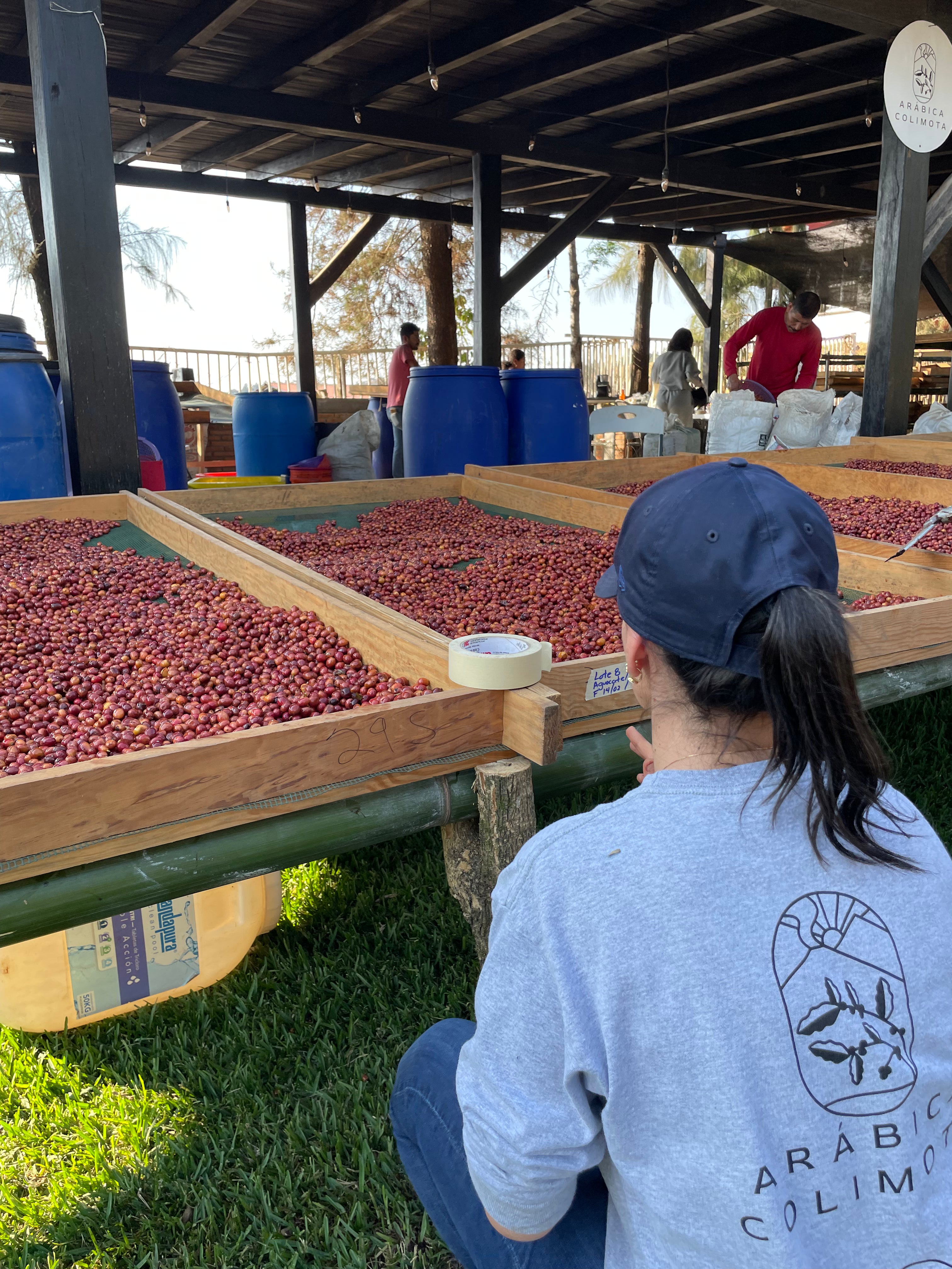 Andrés Peña - El Cuarenteño, Nayarit - Honey Maceración Carbónica