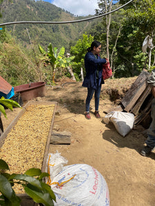 San Marcial Ozolotepec - Oaxaca - Geisha - Lavado