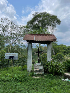 Finca Fátima - Veracruz - Natural