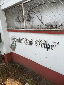 Rancho San Felipe - Veracruz - Descafeinado