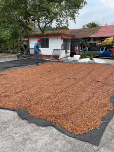 Rancho San Felipe - Veracruz - Red Honey