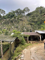 Cargar imagen en el visor de la galería, Rancho San Felipe - Veracruz - Yellow Honey
