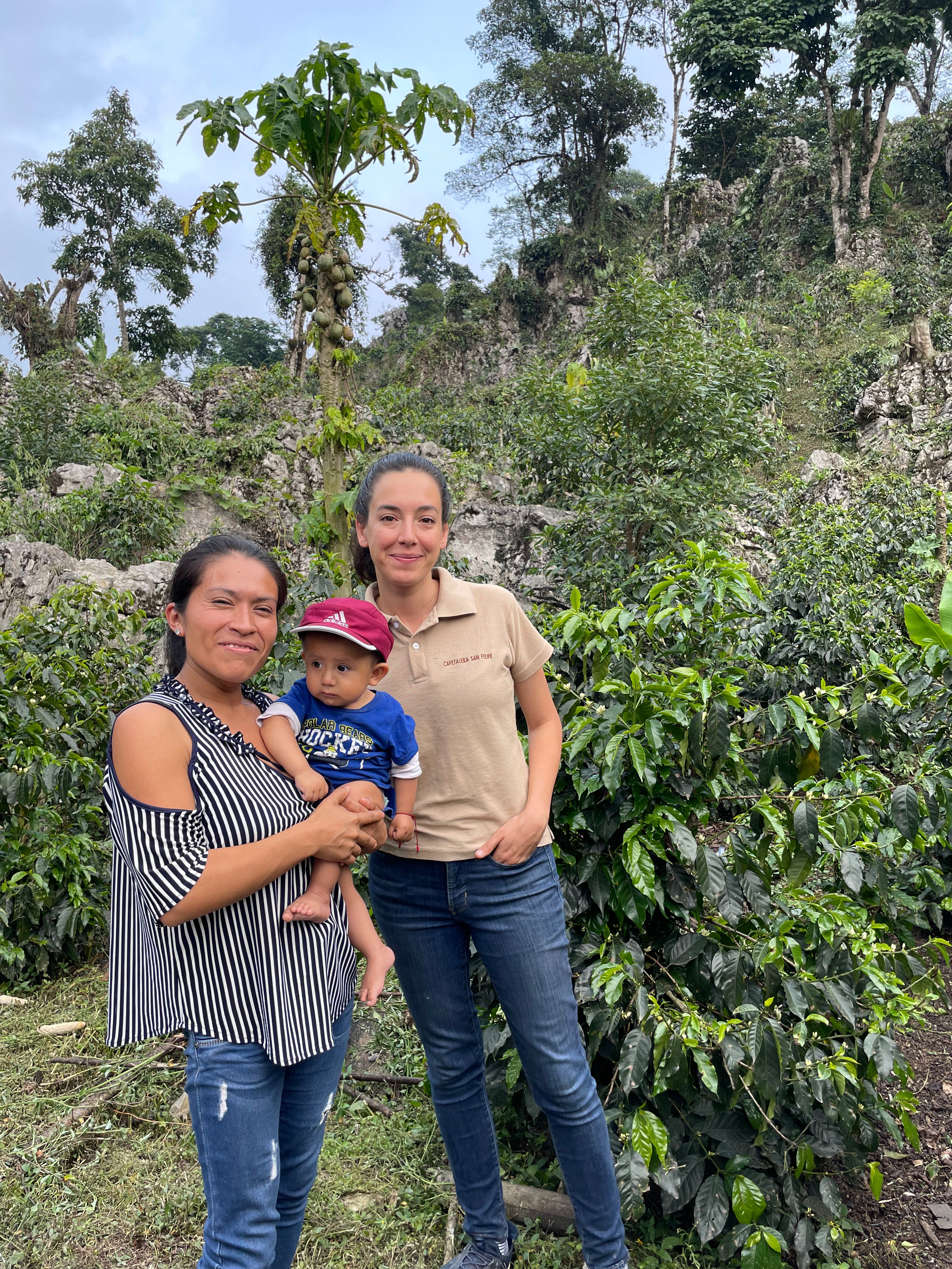 Rancho San Felipe - Veracruz - Yellow Honey