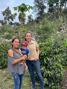 Rancho San Felipe - Veracruz - Yellow Honey