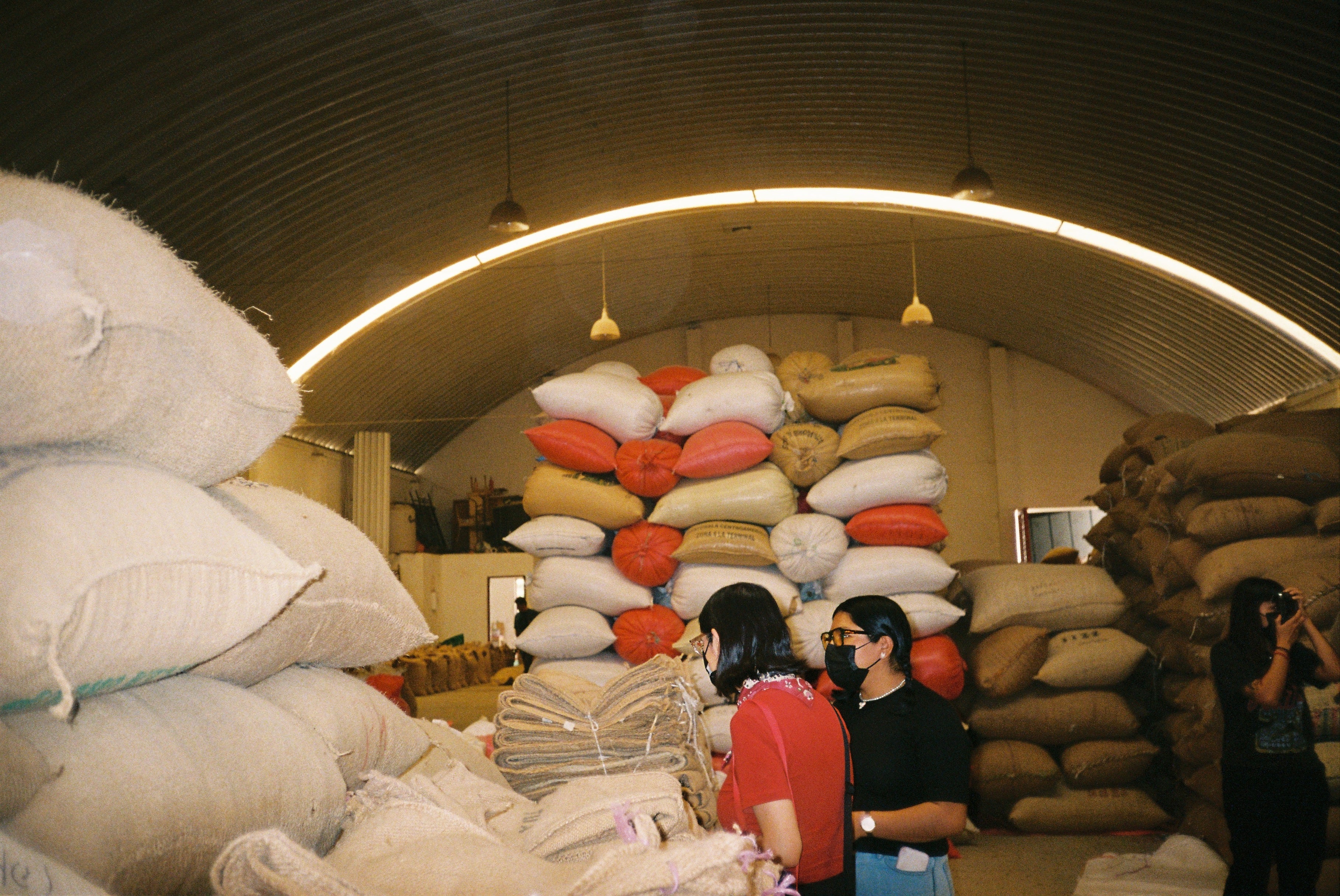 Macedonio López Vázquez - Oaxaca - Typica y Bourbon  - Honey