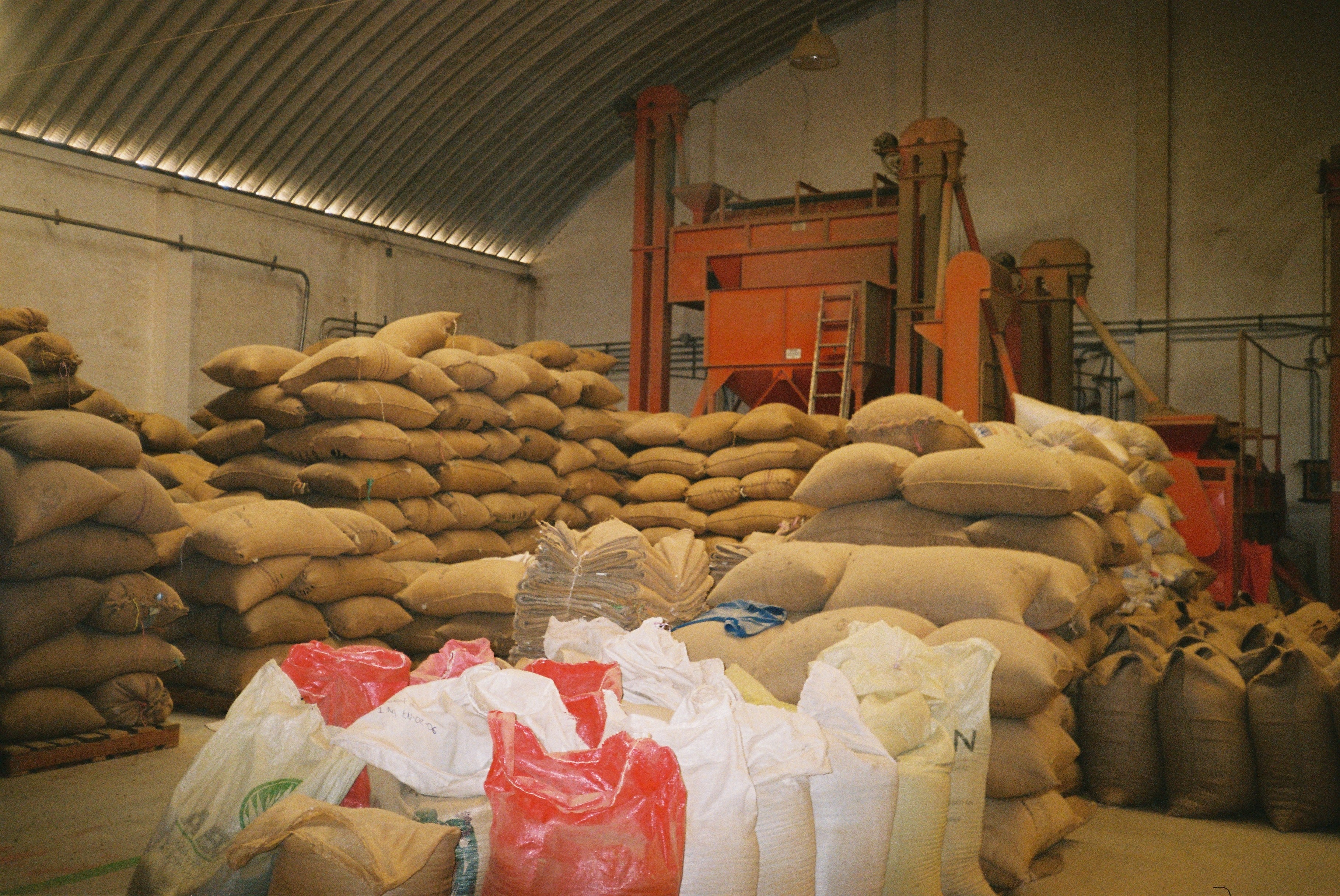 Rufino Melquiadez - Oaxaca -Typica y Caturra - Lavado