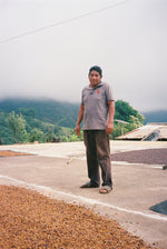 Cargar imagen en el visor de la galería, Finca Mendoza - Guerrero - Honey
